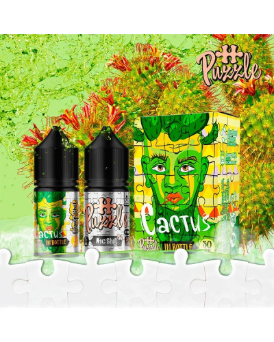 Набор для самозамеса In Bottle Salt Puzzle 30 мл 50 мг "Cactus" со вкусом кактус