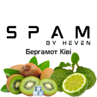 ТАБАК ДЛЯ КАЛЬЯНА SPAM by heven 100 гр Бергамот Киви
