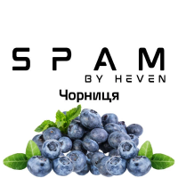ТАБАК ДЛЯ КАЛЬЯНА SPAM by heven 100 гр Черника