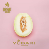 Табак для Кальяна GREAT 100 гр  YUBARI MELON (дыня)