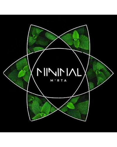 Табак для Кальяна MINIMAL 50 гр Mint (Мята)