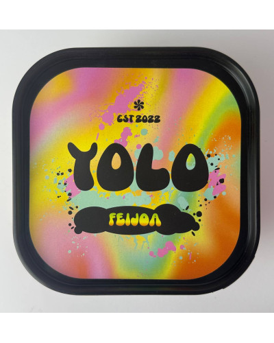 Табак Yolo Feijoa (Фейхоа) 250 г