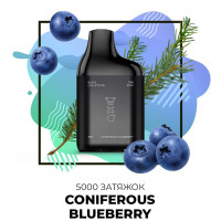 Одноразка SAB 5000 затяжек №58 Coniferuos Bluberry со вкусом хвойная черника (Простроченный)