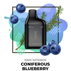 Одноразка SAB 5000 затяжек №58 Coniferuos Bluberry со вкусом хвойная черника (Простроченный)