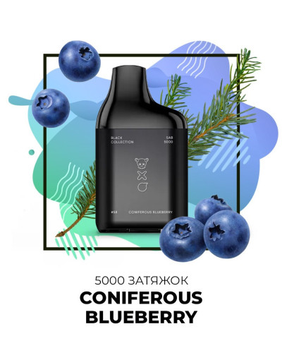 Одноразка SAB 5000 затяжек №58 Coniferuos Bluberry со вкусом хвойная черника (Простроченный)