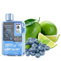 Одноразка Lost Mary OS12000 затяжек Blueberry Lime (черника лайм)