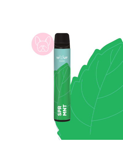 WOUF 1500 ЗАТЯЖЕК №01 SPEARMINT СО ВКУСОМ МЯТНОЙ ЖВАЧКИ