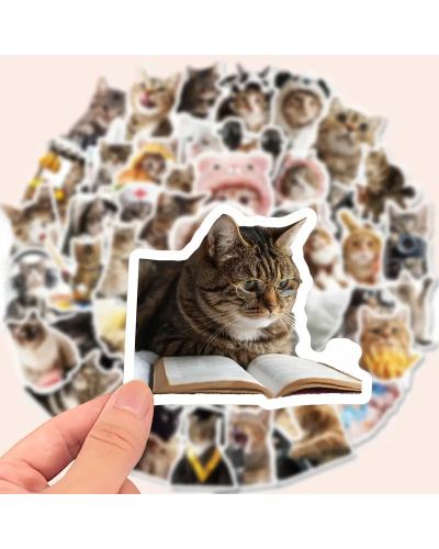Набор стикеров "Funny Cats" 50 шт