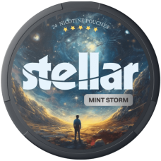 Снюс Stellar Mint Storm 150 mg (Мята)