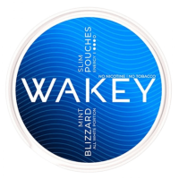 Кофеиновый снюс WAKEY Hyper Charge 50 mg (мята)