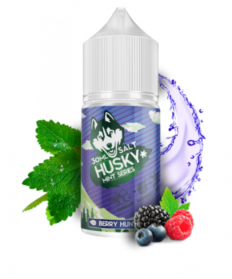 Жидкость Husky Mint Series Salt 30 ml 20 mg (Смородина малина мята)