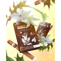 ТАБАК ДЛЯ КАЛЬЯНА CHEFS 100 гр Limited Edition Flor de copan