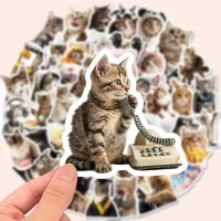 Набор стикеров "Funny Cats" 50 шт